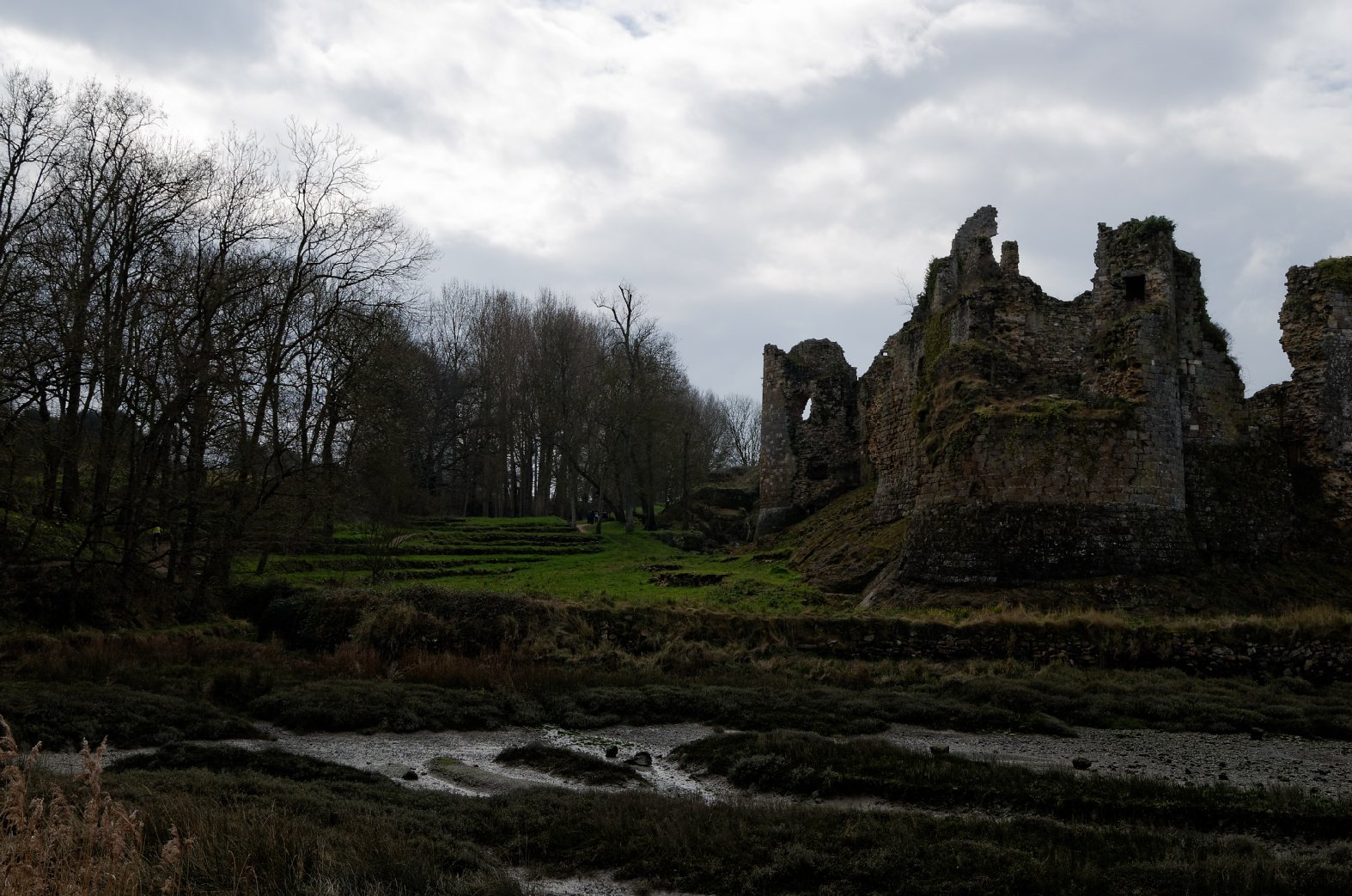 DSC_0635li.jpg