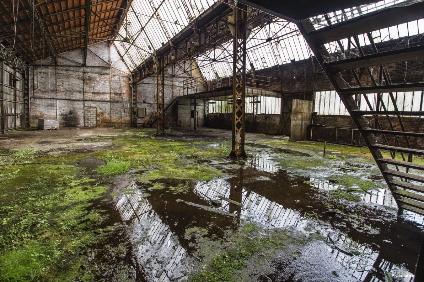 13-Hangars.jpg