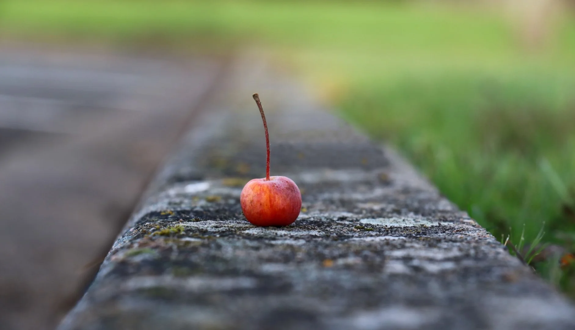 Pomme-cerise-....jpg