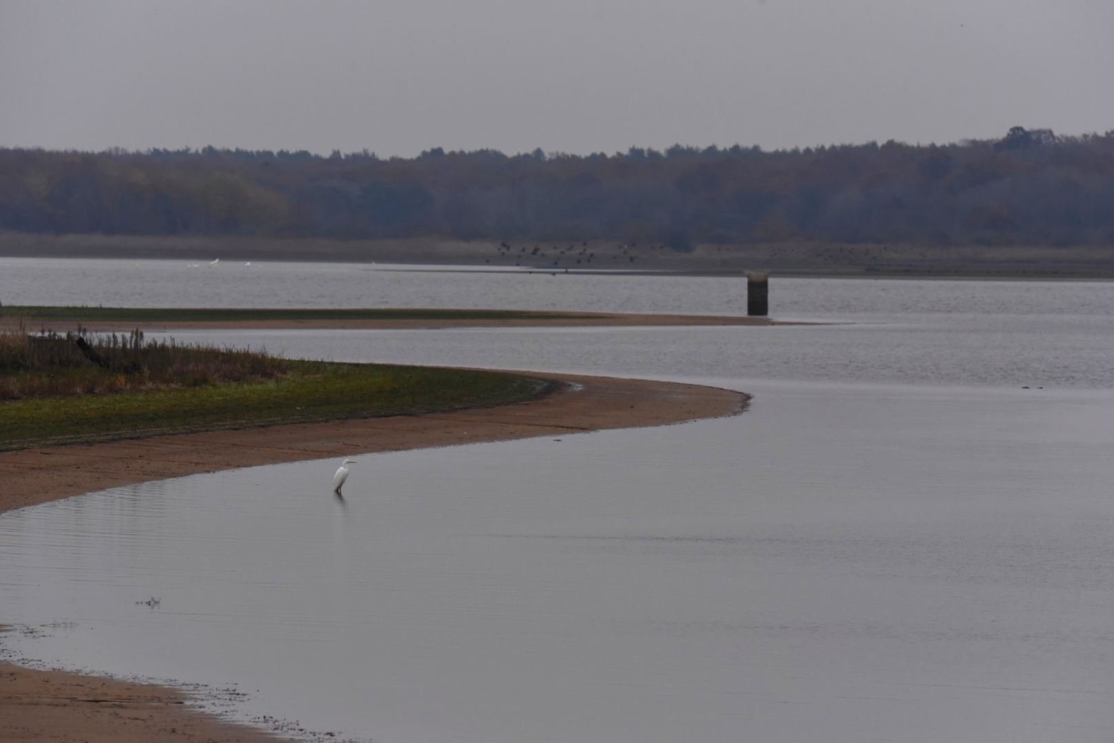 Sur-les-bords-de-létang-de-la-mer-rouge.JPG