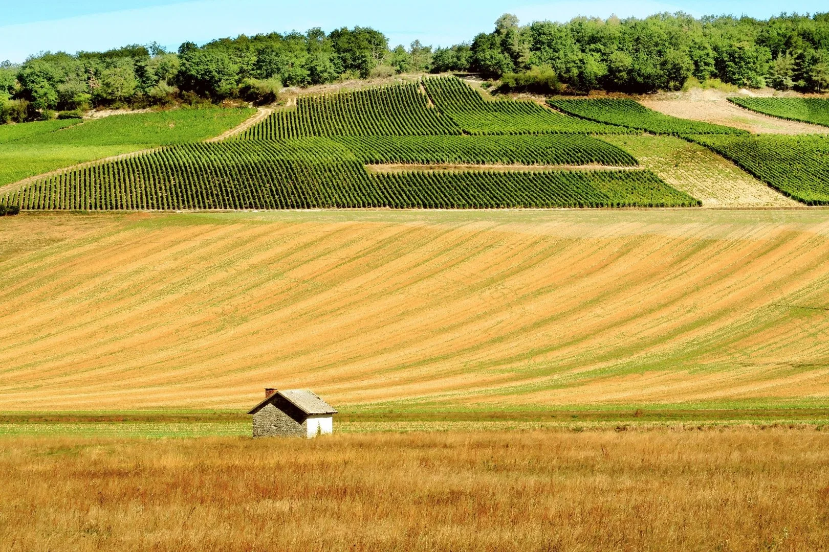 Côteaux-en-Haute-Marne.jpg