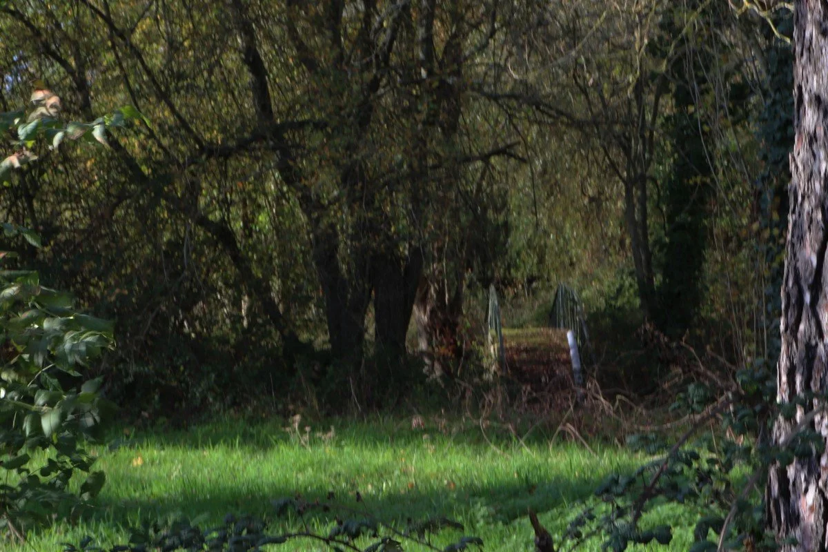 petit-pont.jpg