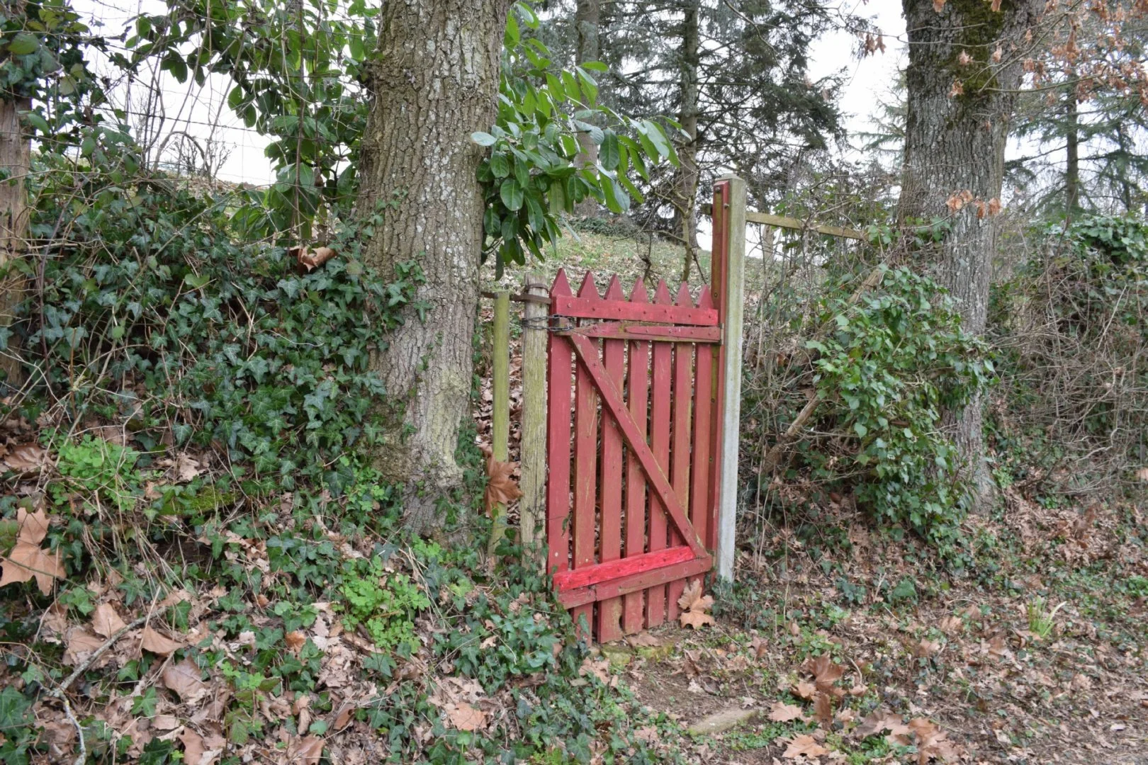 Le-portail-rouge.jpg
