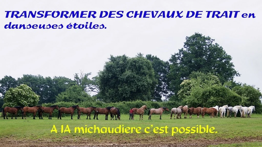 la-michaudiere-1.jpg