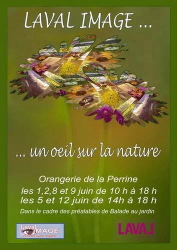 50ans_exemple104.jpg