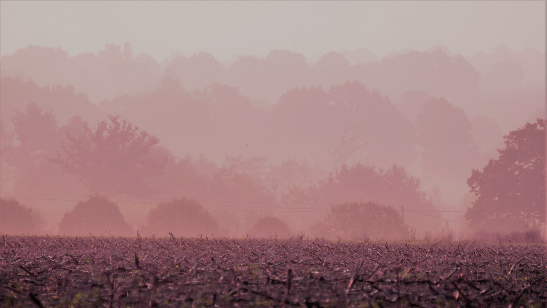 Défi 1 : brumes, brouillard et nébulosités