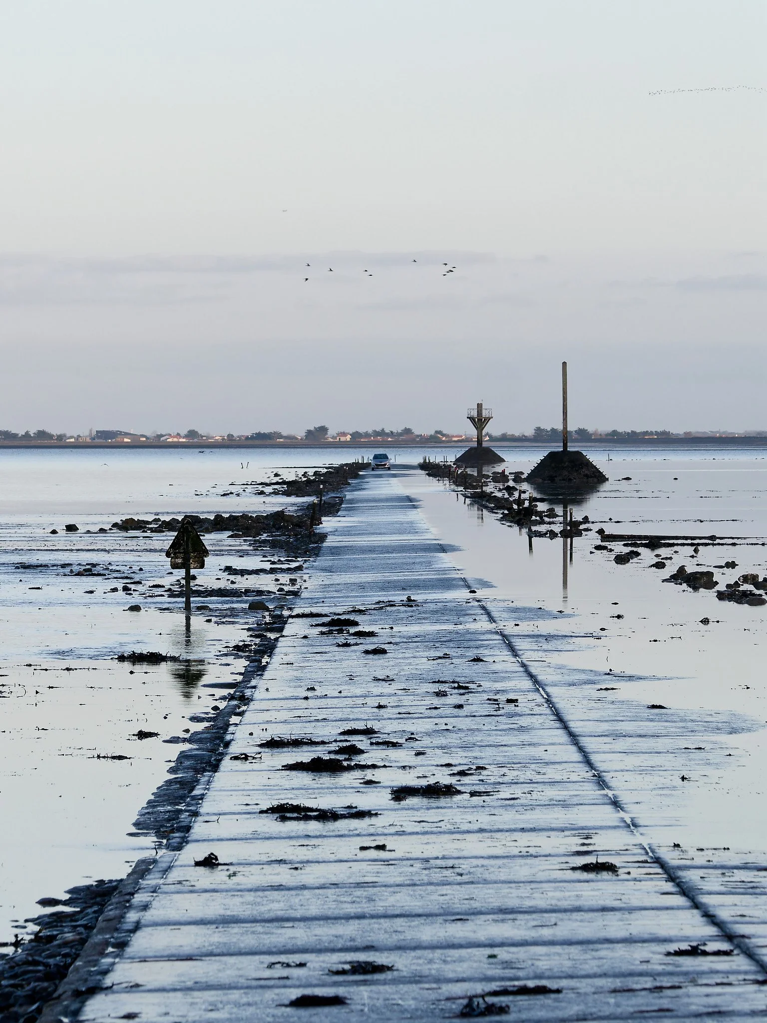 PB300759_DxO.jpg