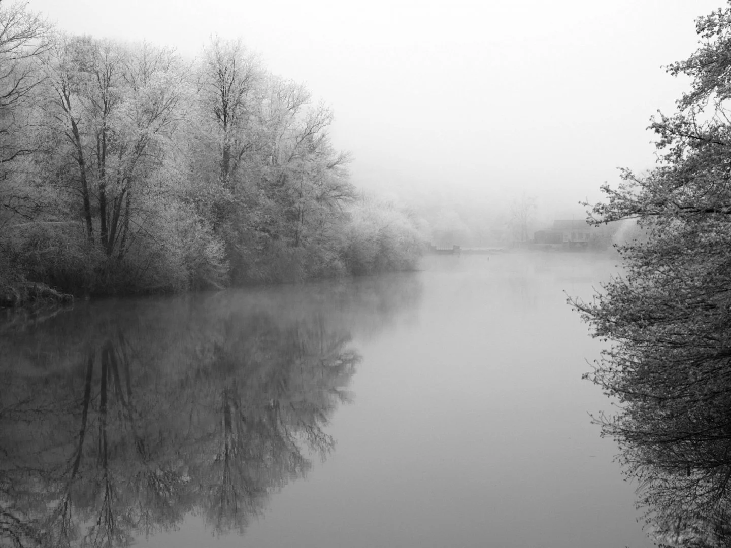 Paisible-Mayenne.jpg