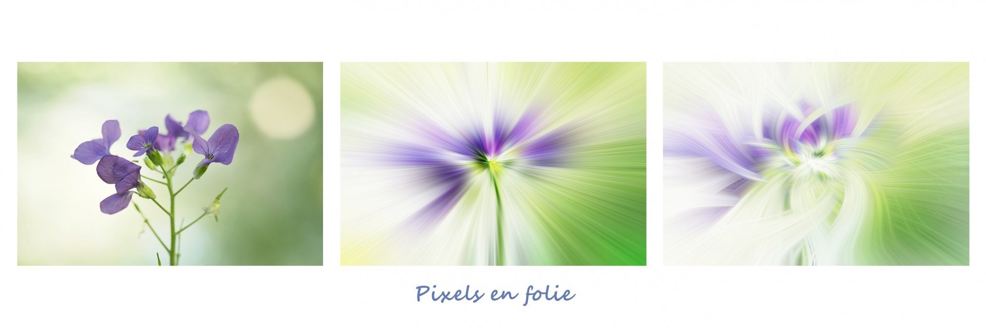 Pixels-en-Folie.jpg
