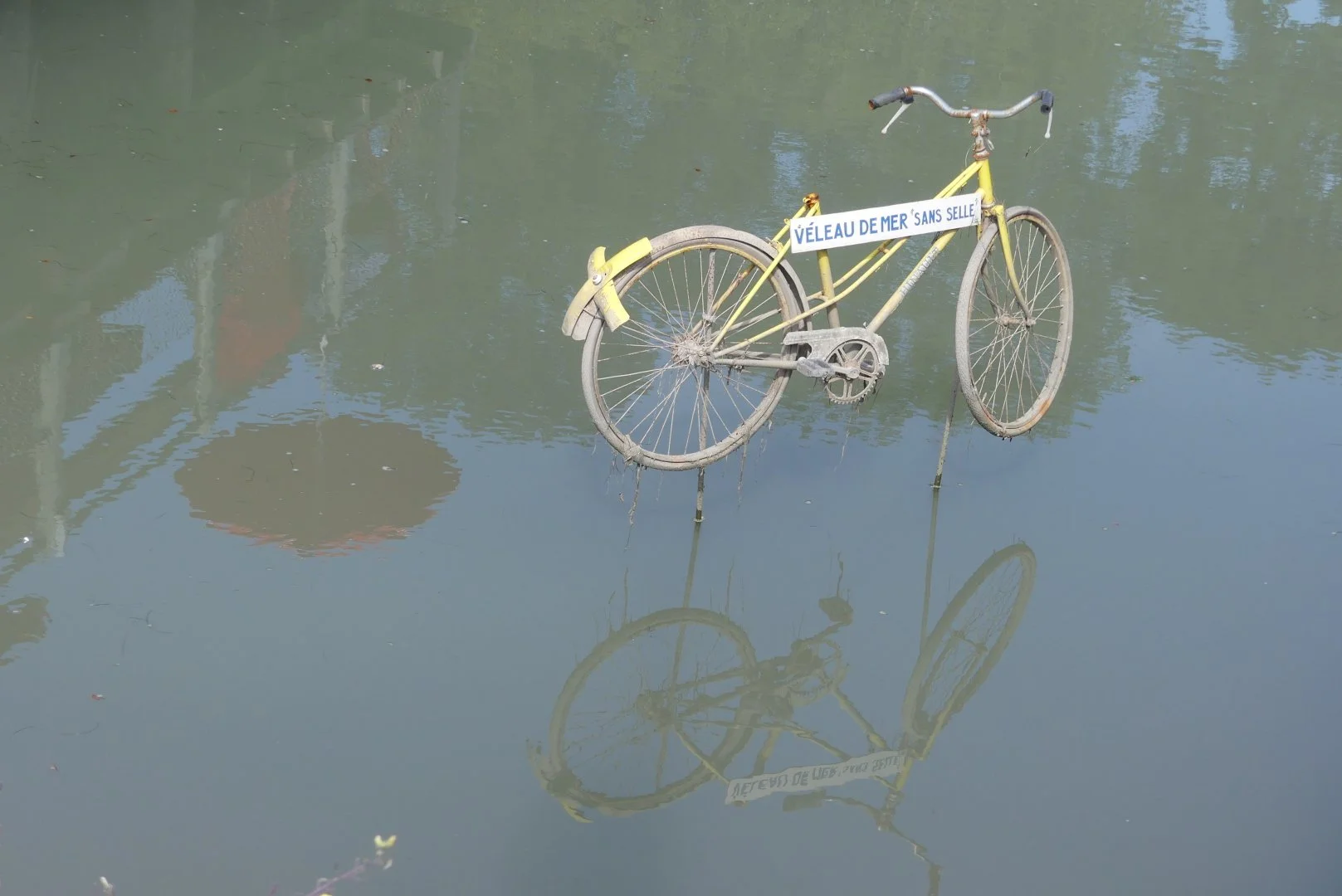 Le-velo-des-vacances.JPG