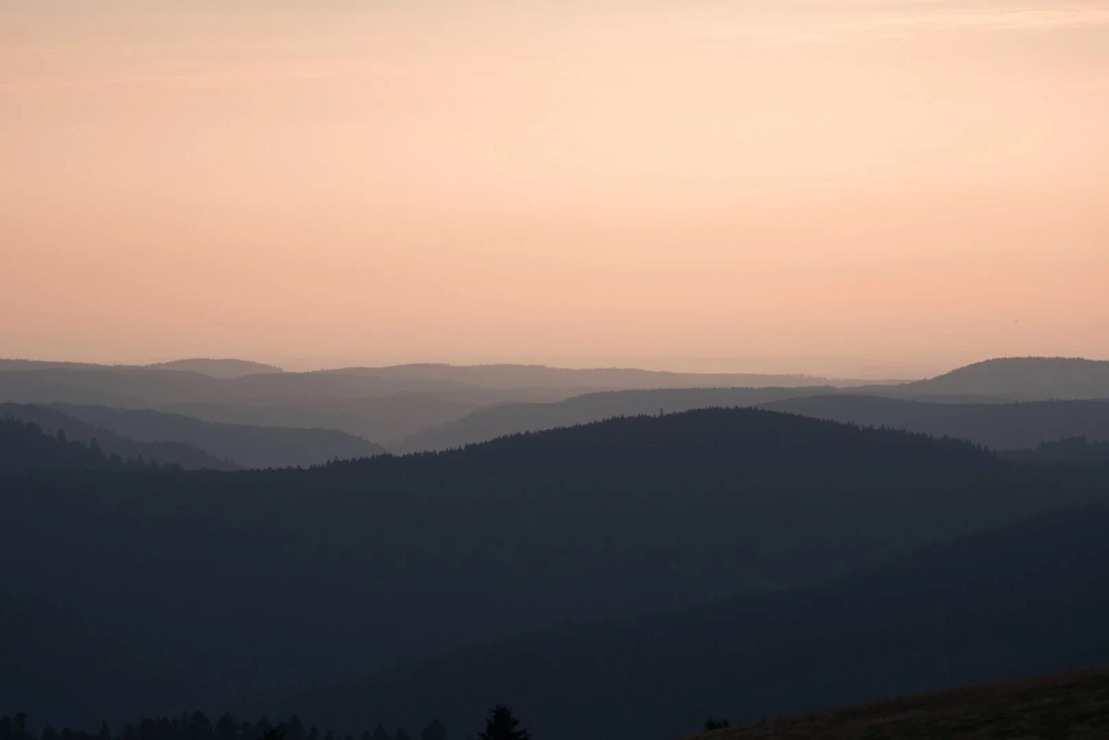 Paysage-vosgien.jpg
