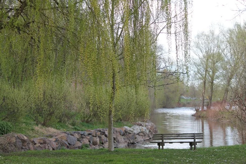 1-au-bord-de-l-allier.jpg