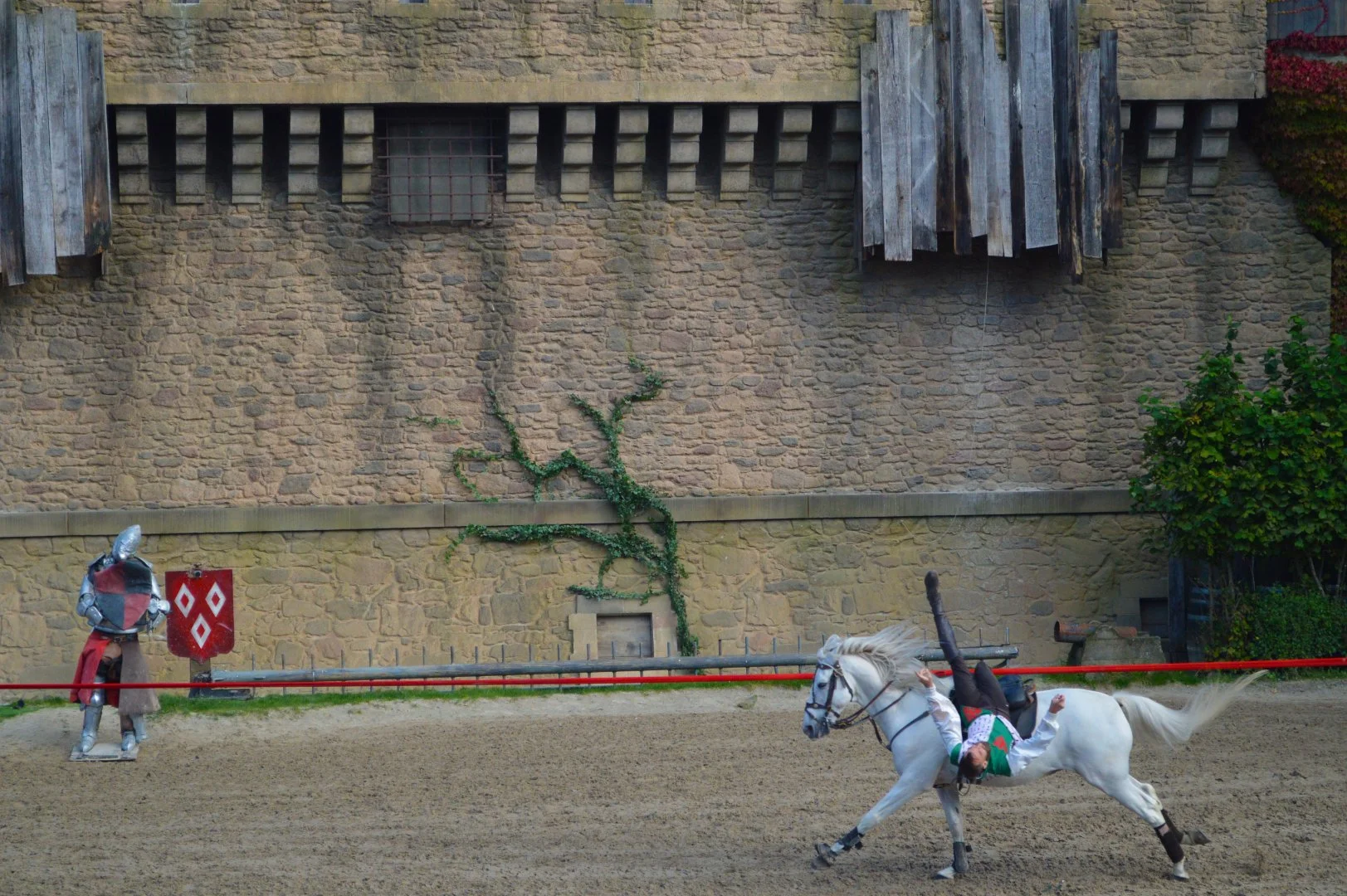 Cavalier_Voltigeur.jpg