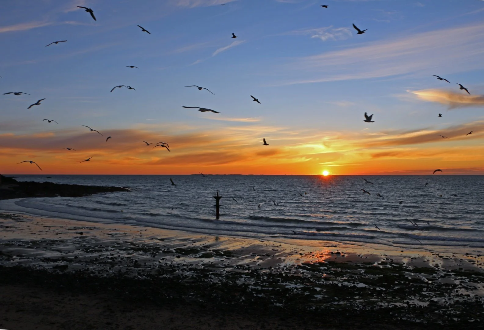 Baie-de-Granville.jpg