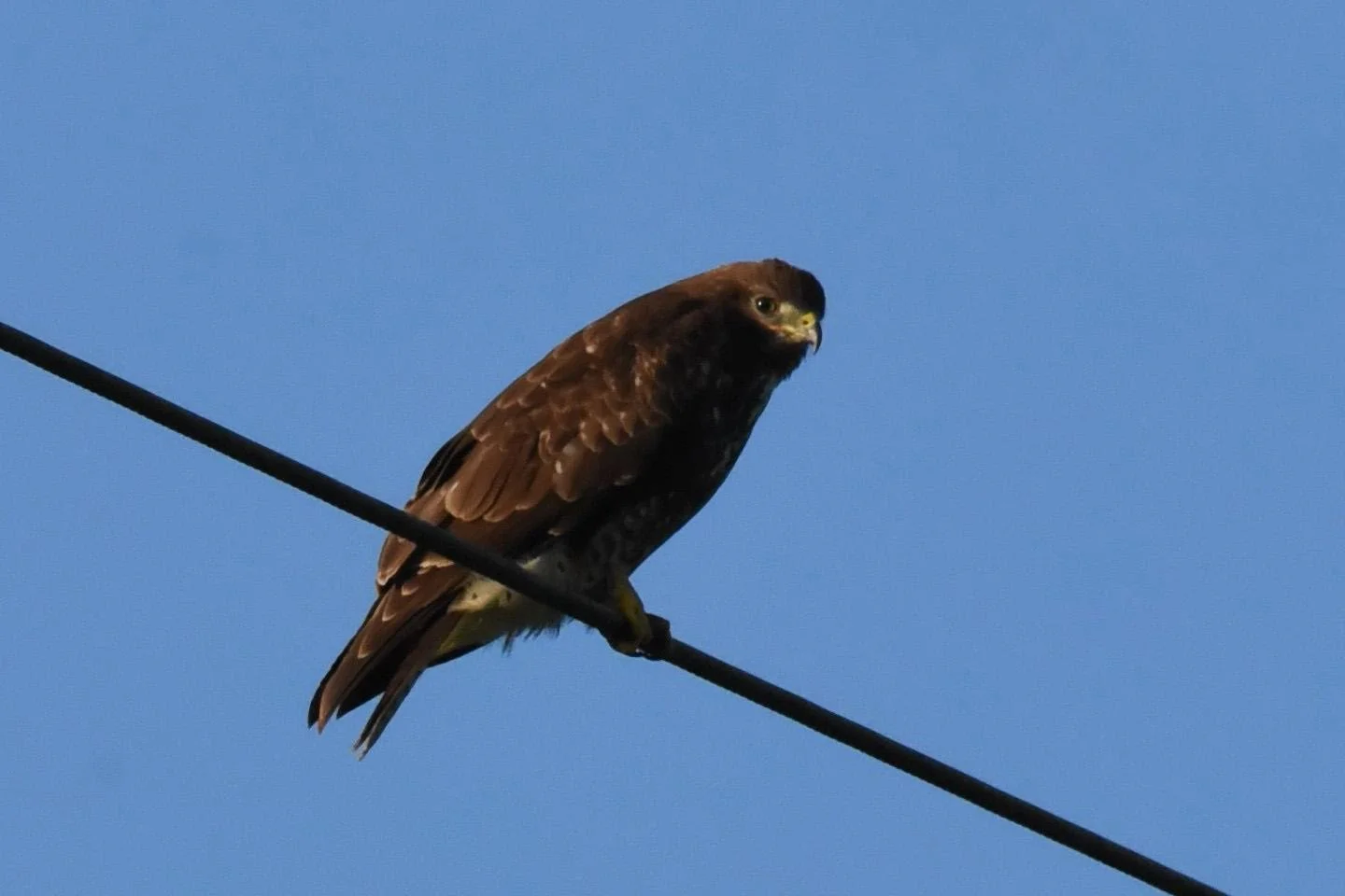 HM_DSC_7528.JPG