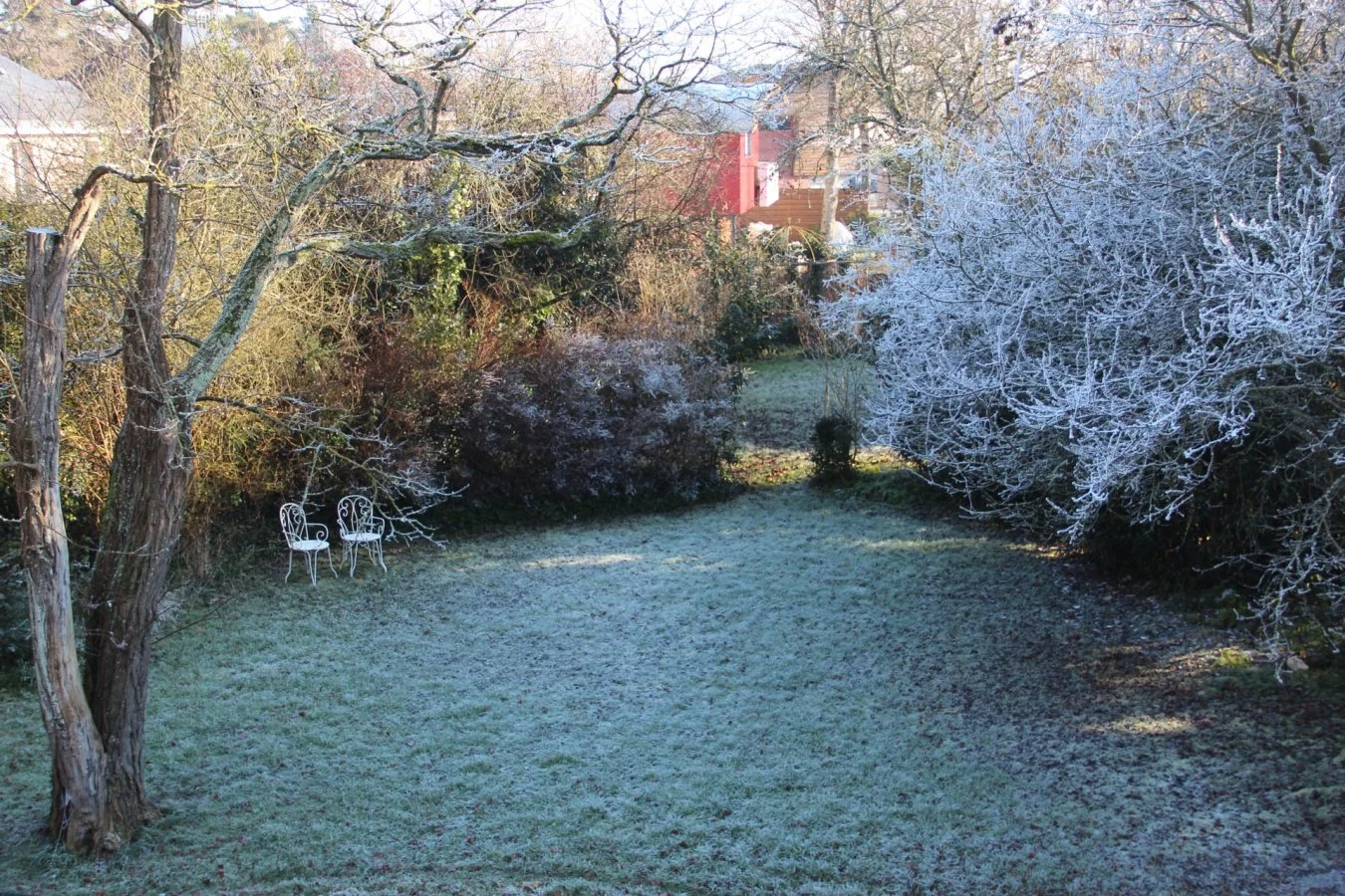 Givre-matinal.jpg