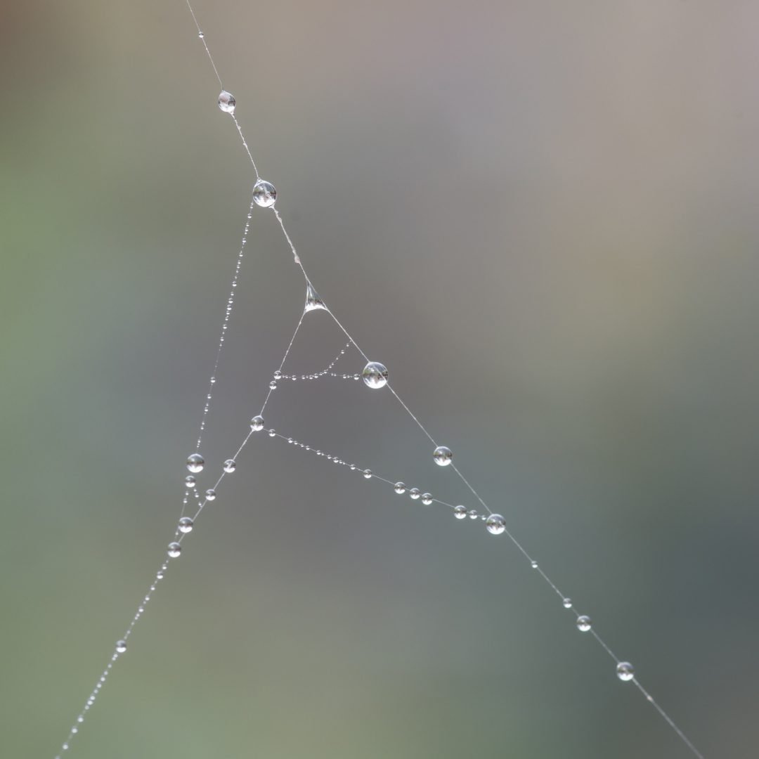 La-Nature.jpg