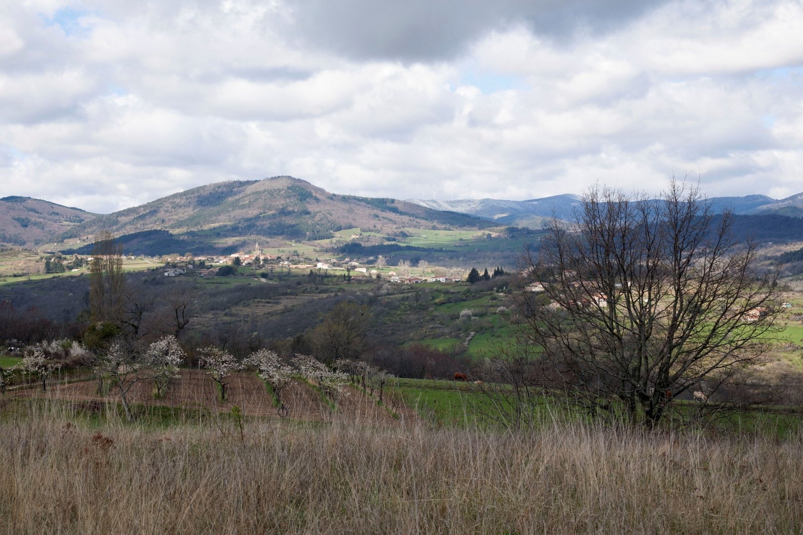 Quelque-part-en-Ardèche.jpg