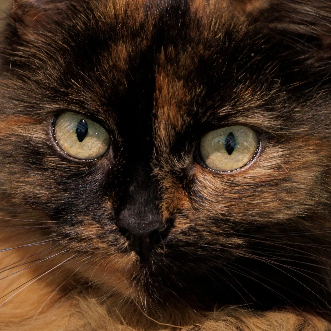 Autre-regard.jpg