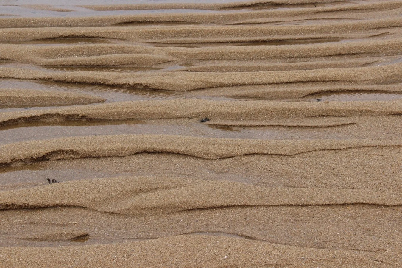 Entre-mer-et-sable.jpg