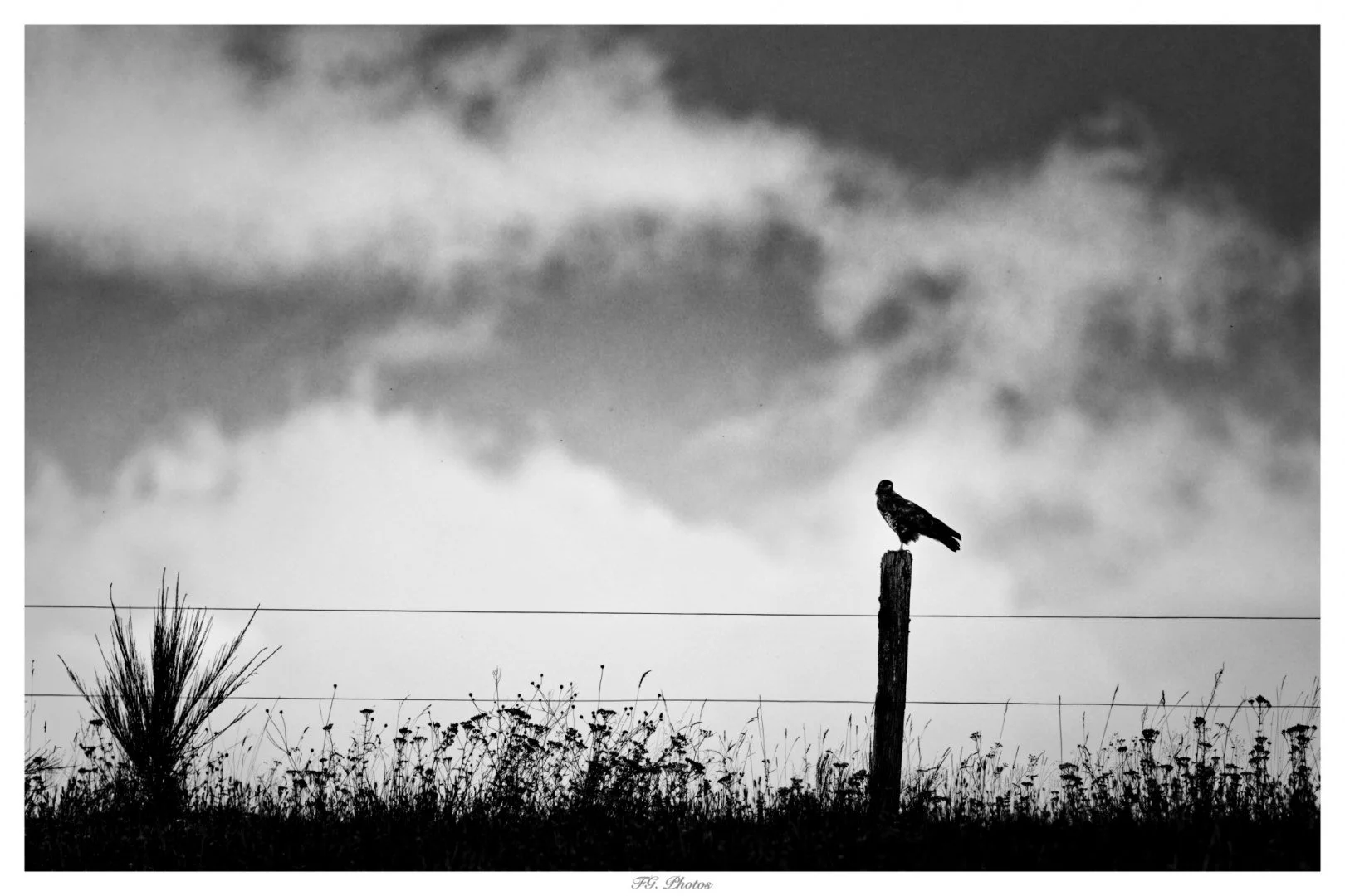 0A8A9053_DxO.jpg