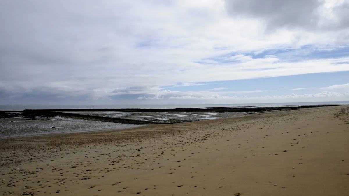 30JDRe_2013_DSC3726_01.JPG