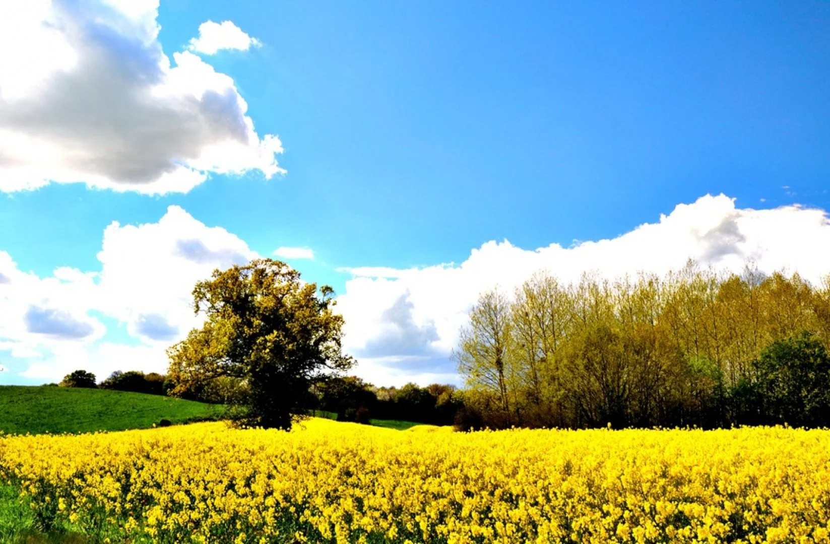 Pour-les-couleurs-7.jpg