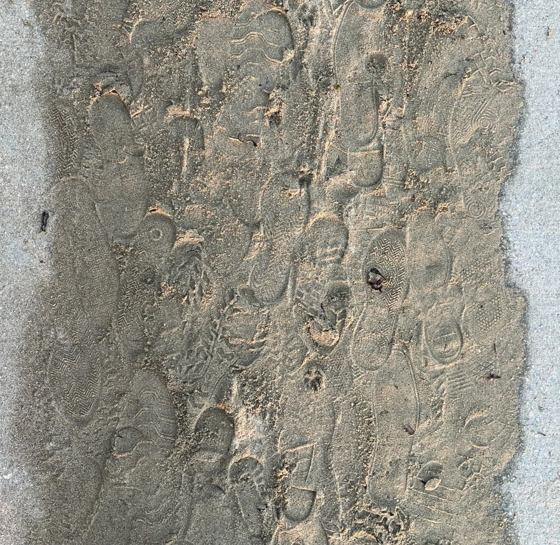 Balade-a-la-plage.jpg