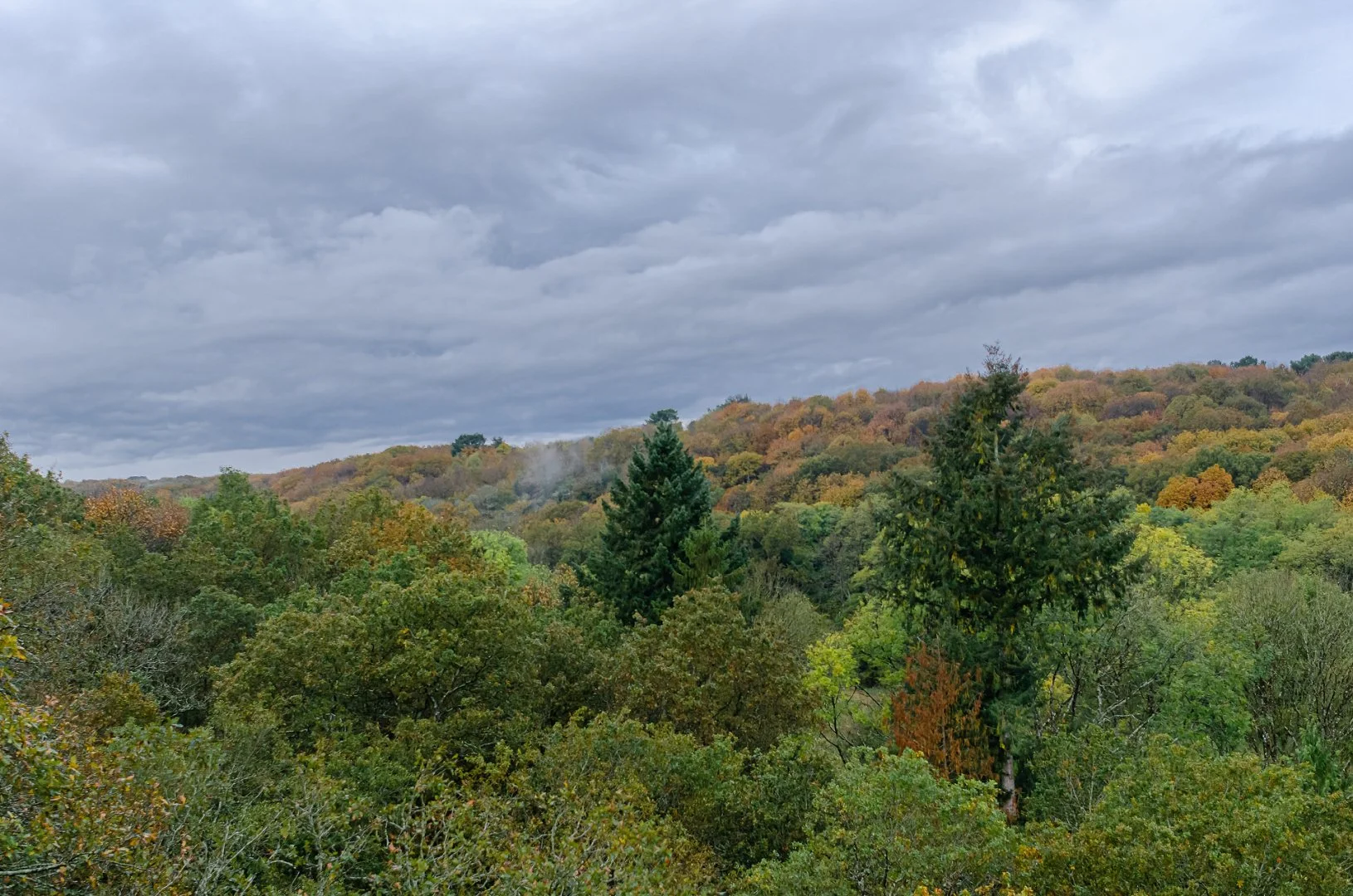 21_10_30-10_20_14-_DSC4320.jpg