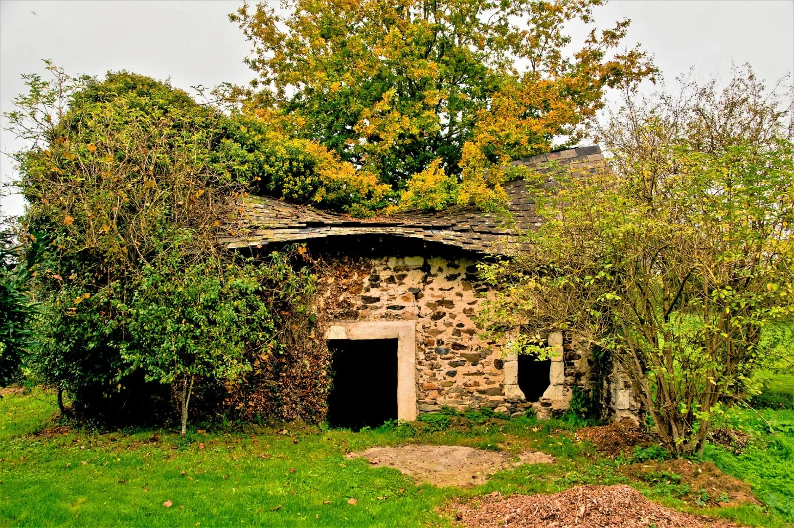 Ancienne-Cabane-en-Mayenne_li.jpg