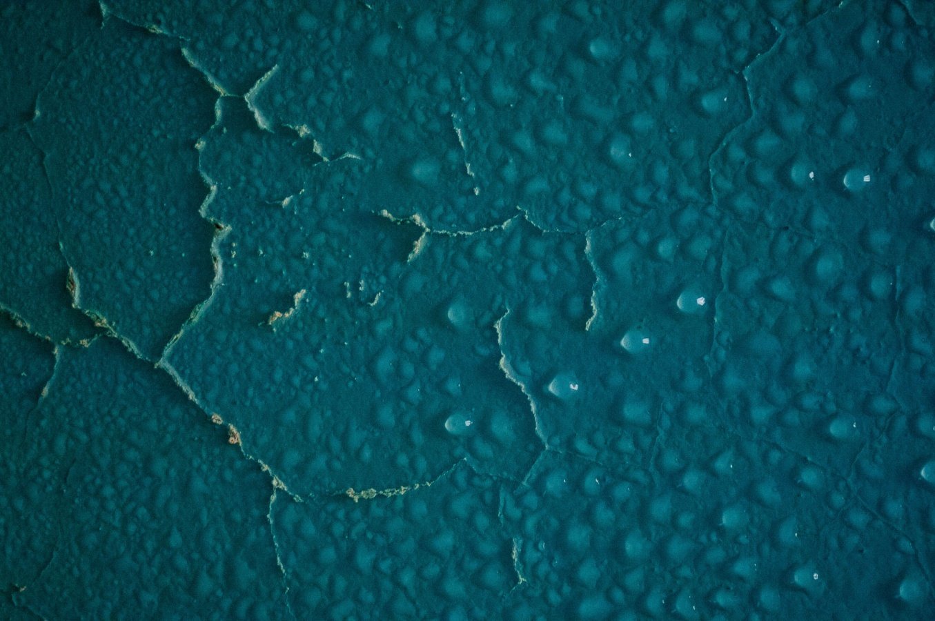 details-12.jpg