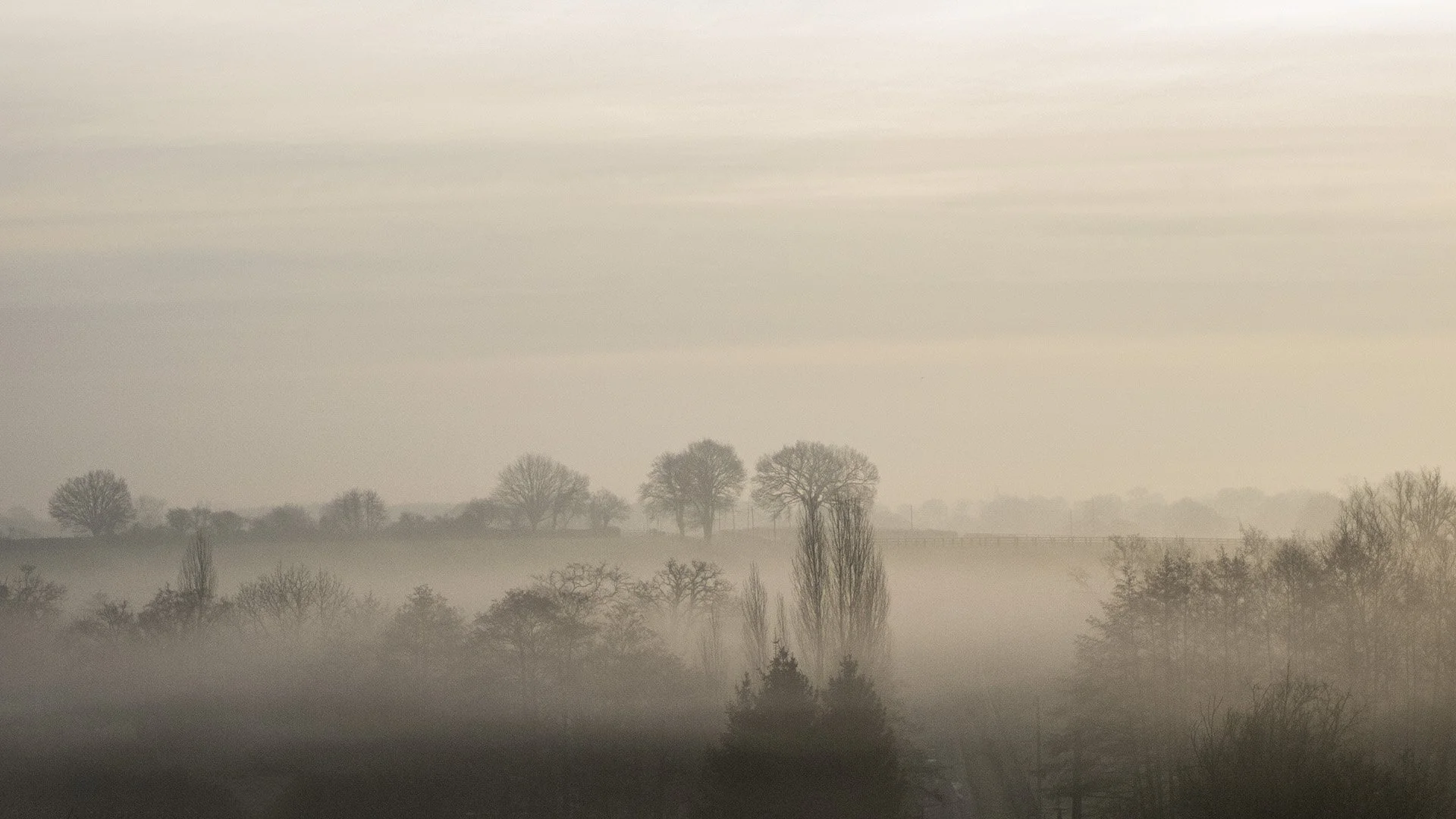 Brume-matinale.jpg
