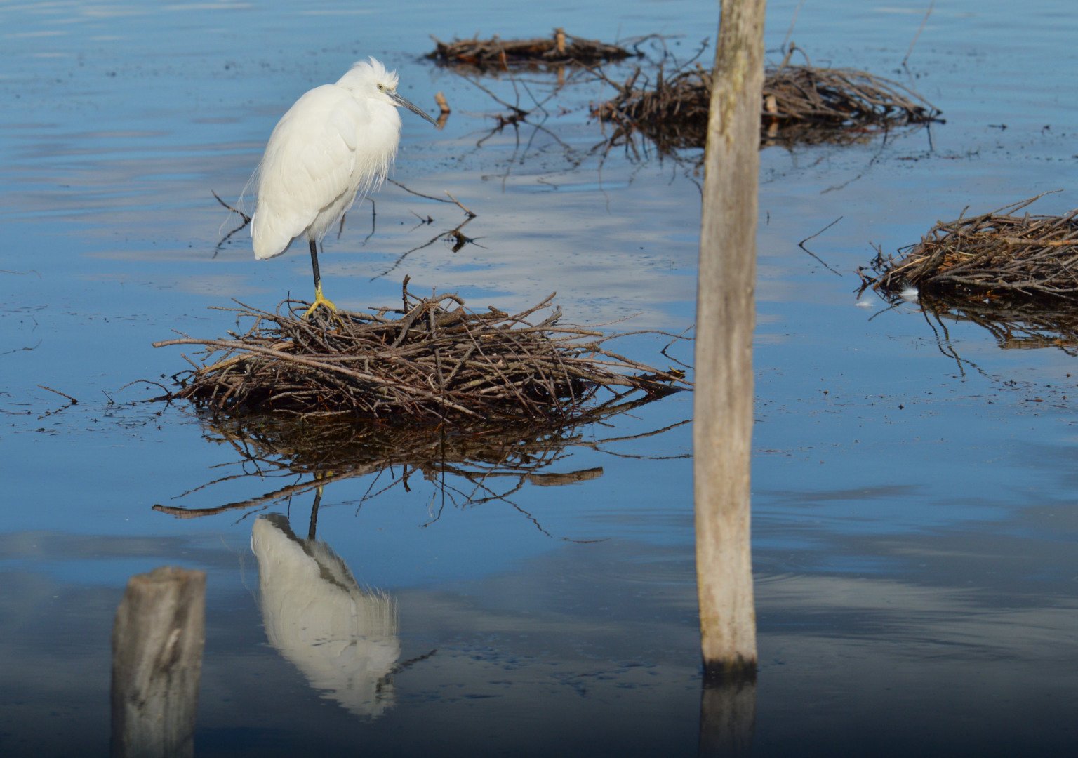 Reflet-2.jpg