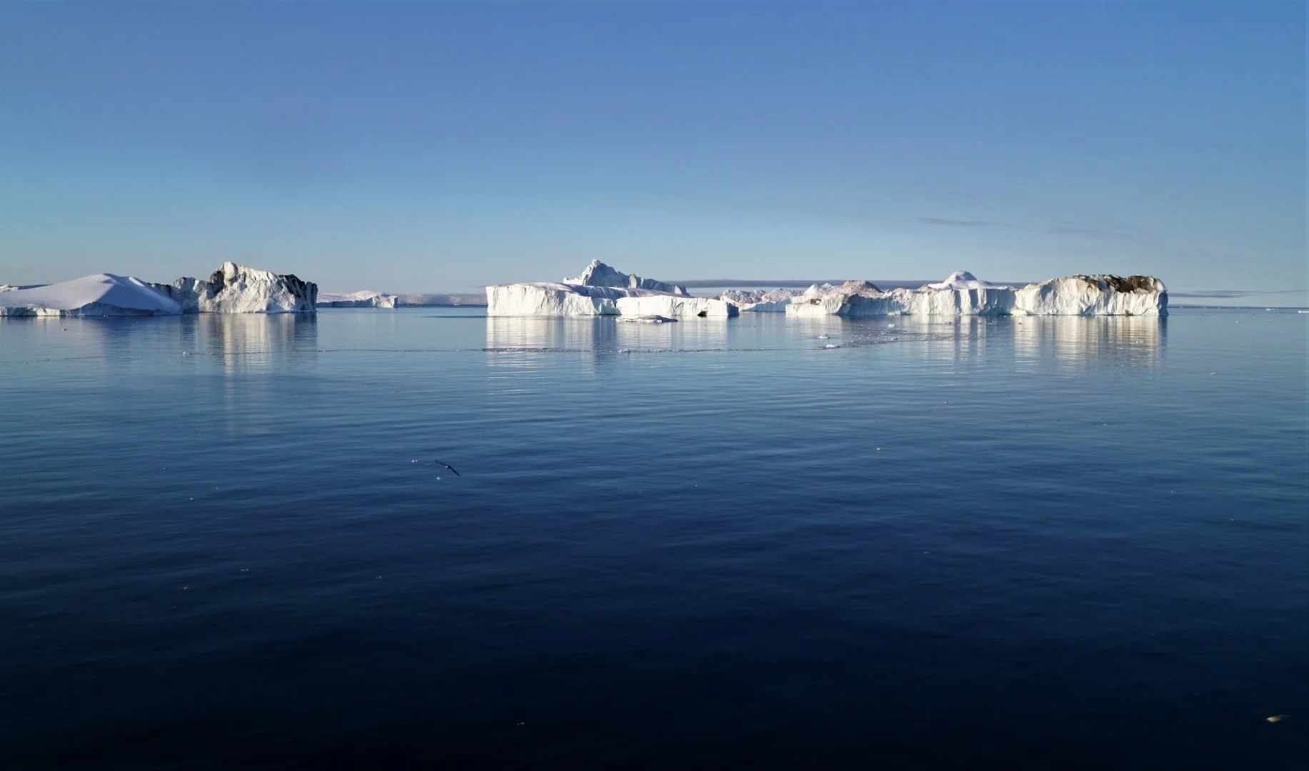 Encombrement-en-baie-de-Disko.jpg