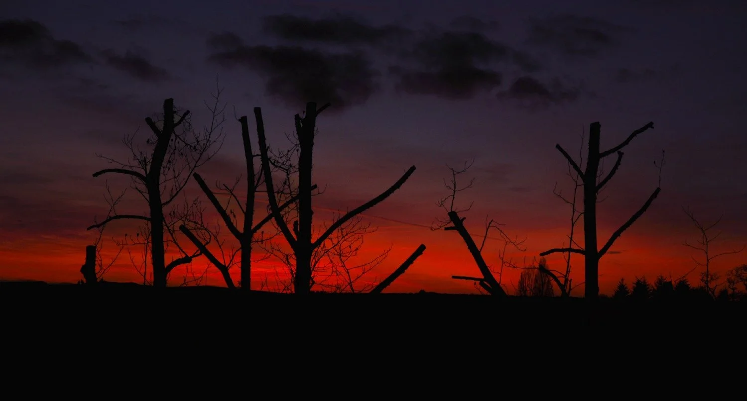 horizon-en-feu.jpg