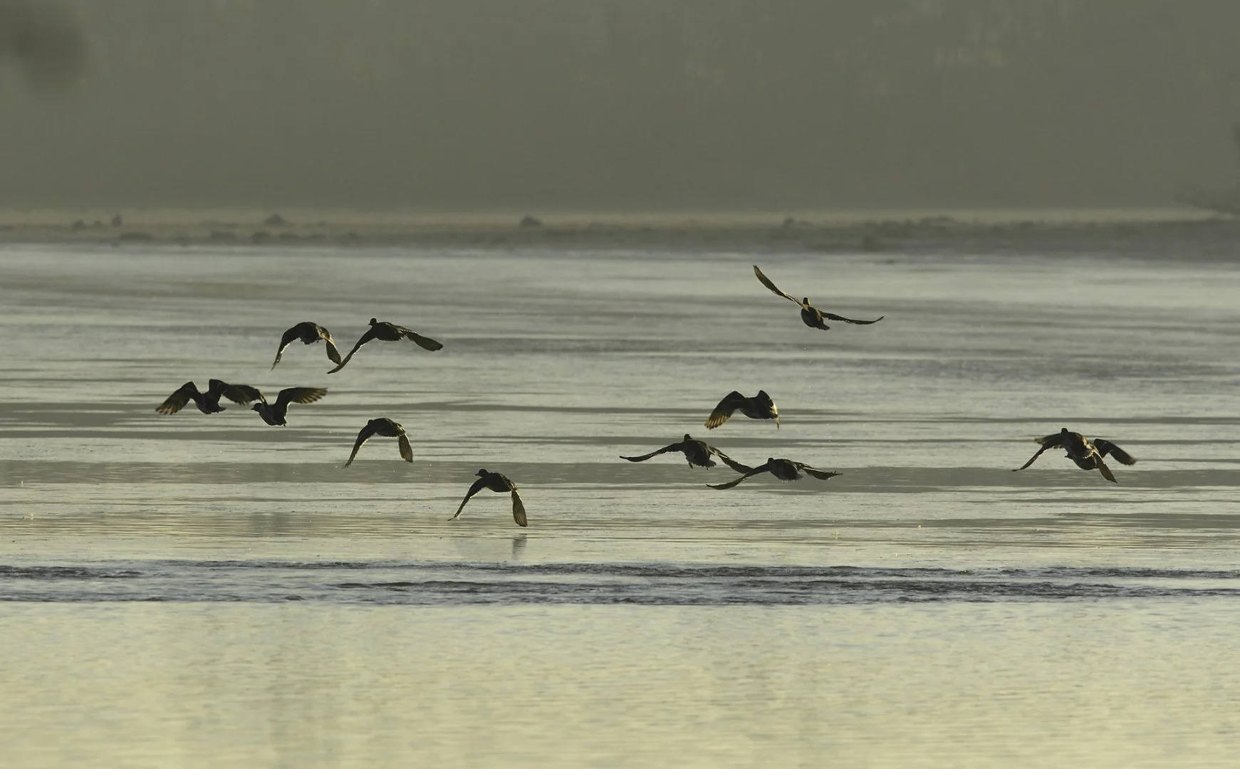 RP.2021.01_DSC0926-_1.jpg
