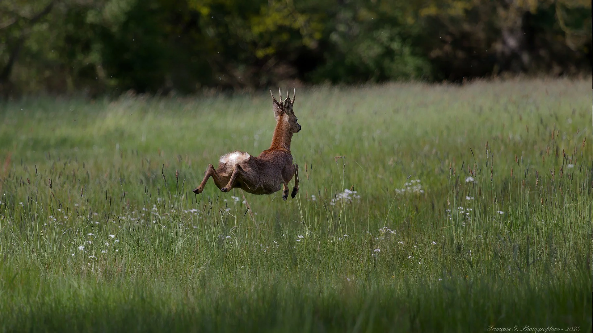 IMG_4910_DxO.jpg