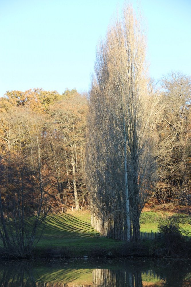 22-sur-le-halage-3.jpg