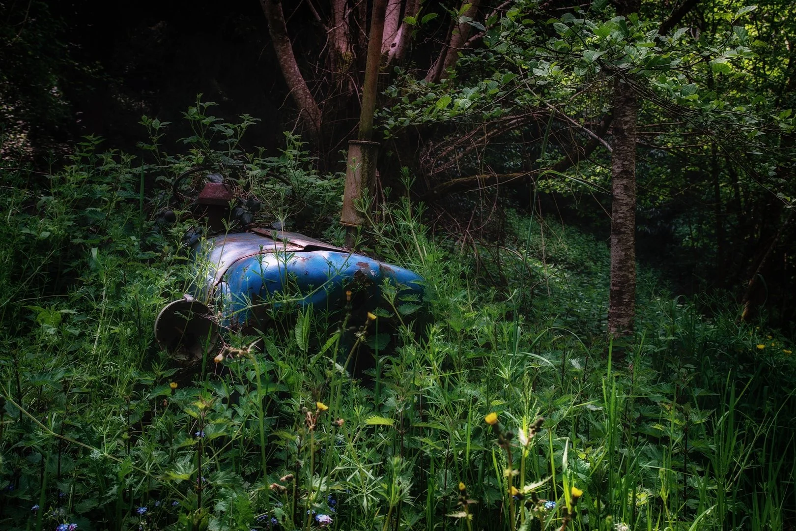 Abandon-06.jpg