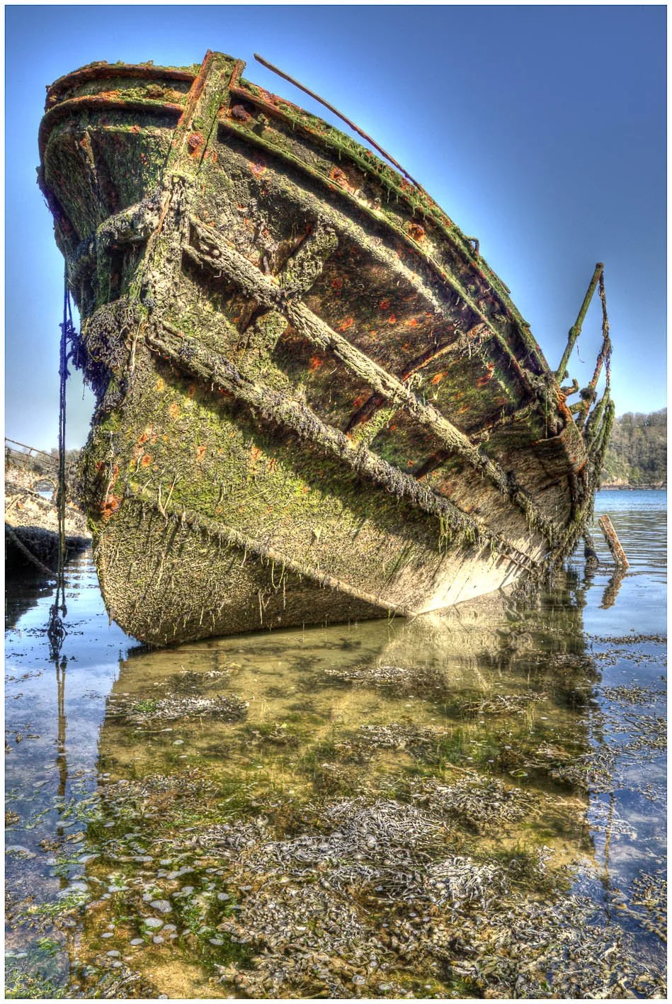 Quelmer 3.jpg