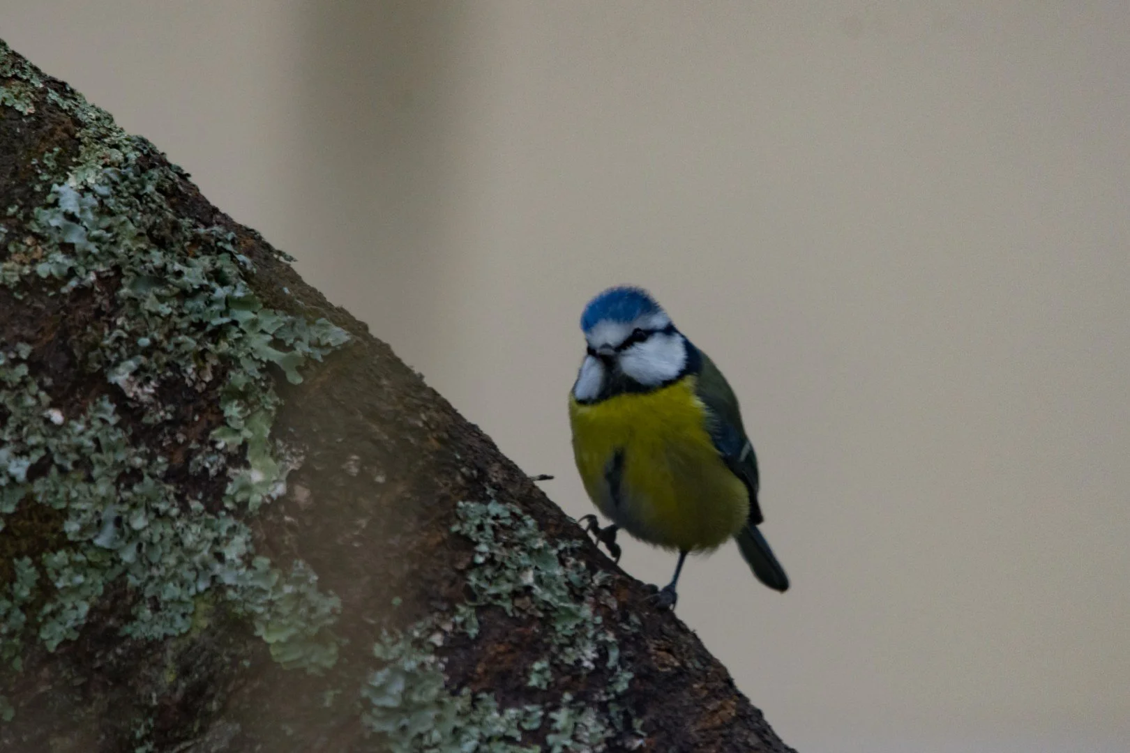 BH12.2021.06-iso1008-F6.3-1.640sec-600-mm.jpg