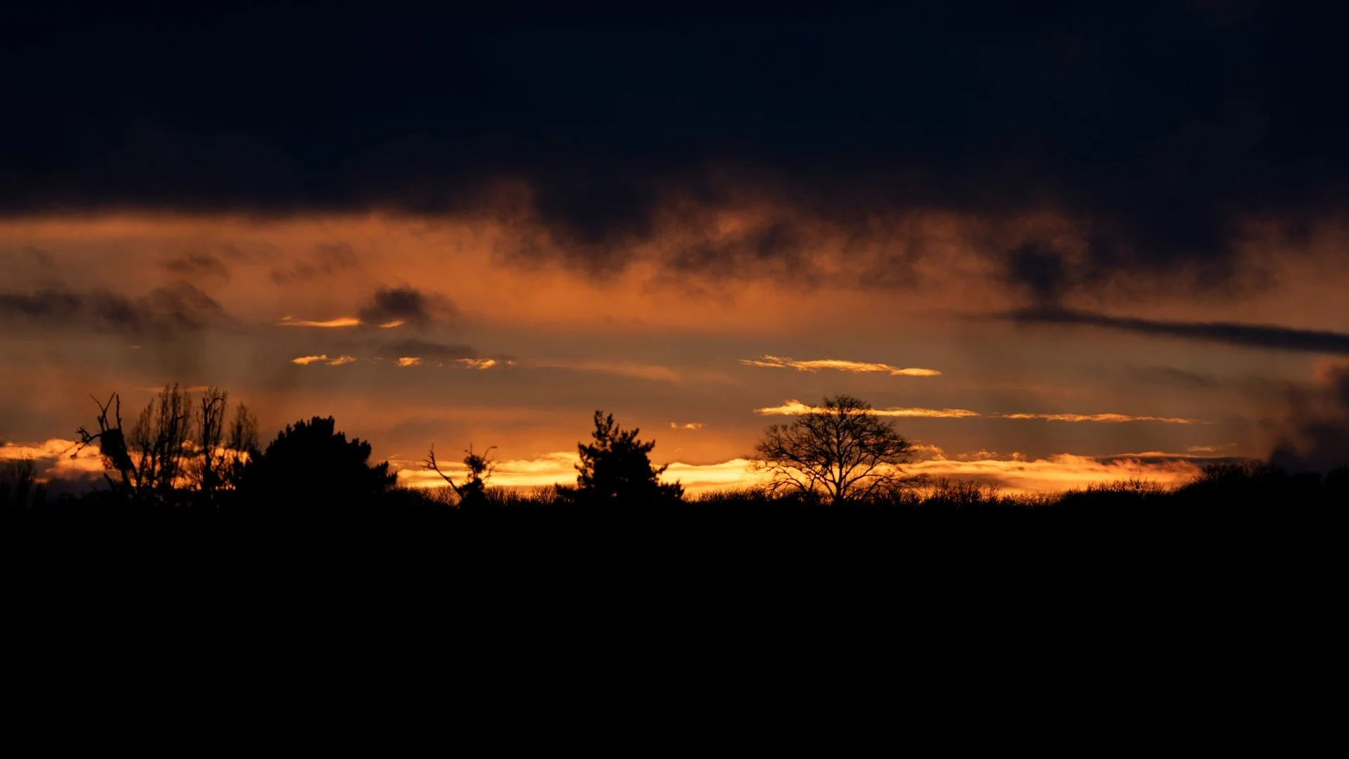 RG_0126_Nature04.jpg