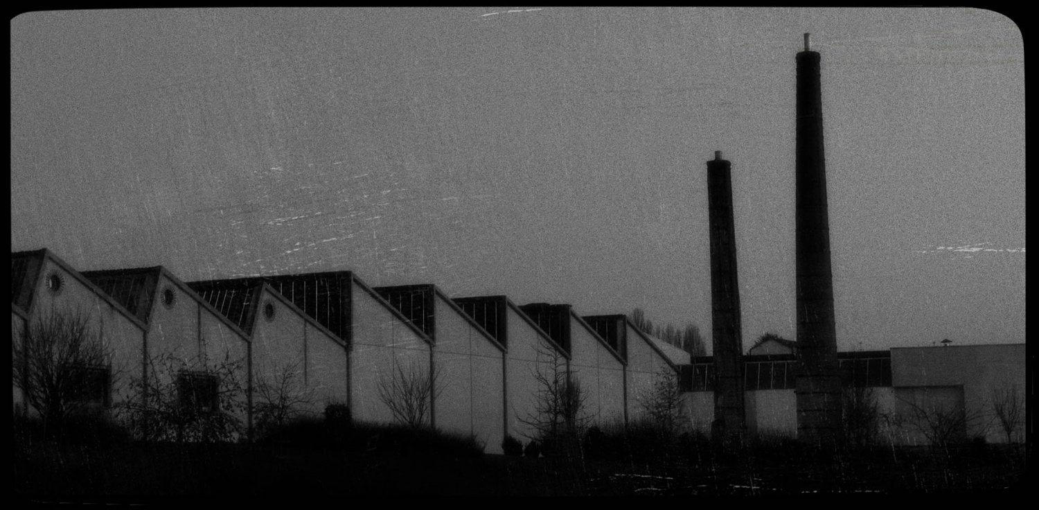 Beck-2.jpg