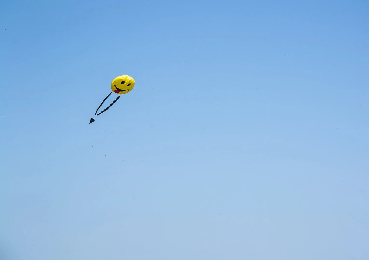 Cerrfs-volants-à-Berck.jpg