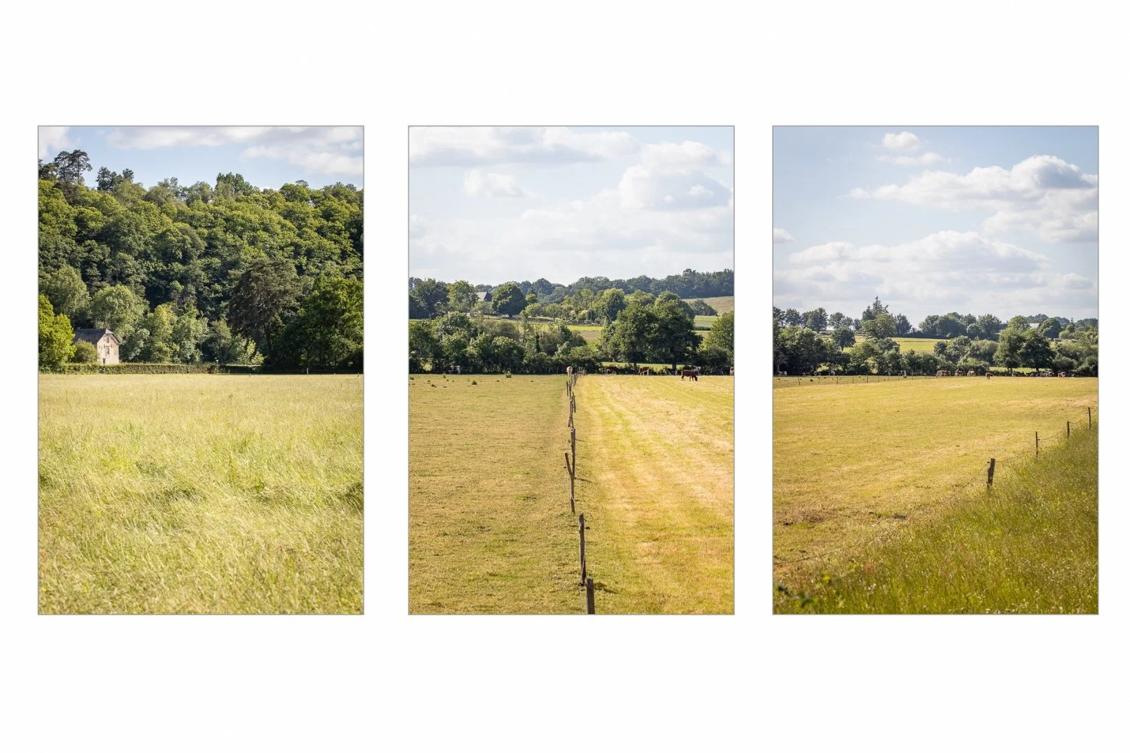 Triptyque-3.jpg