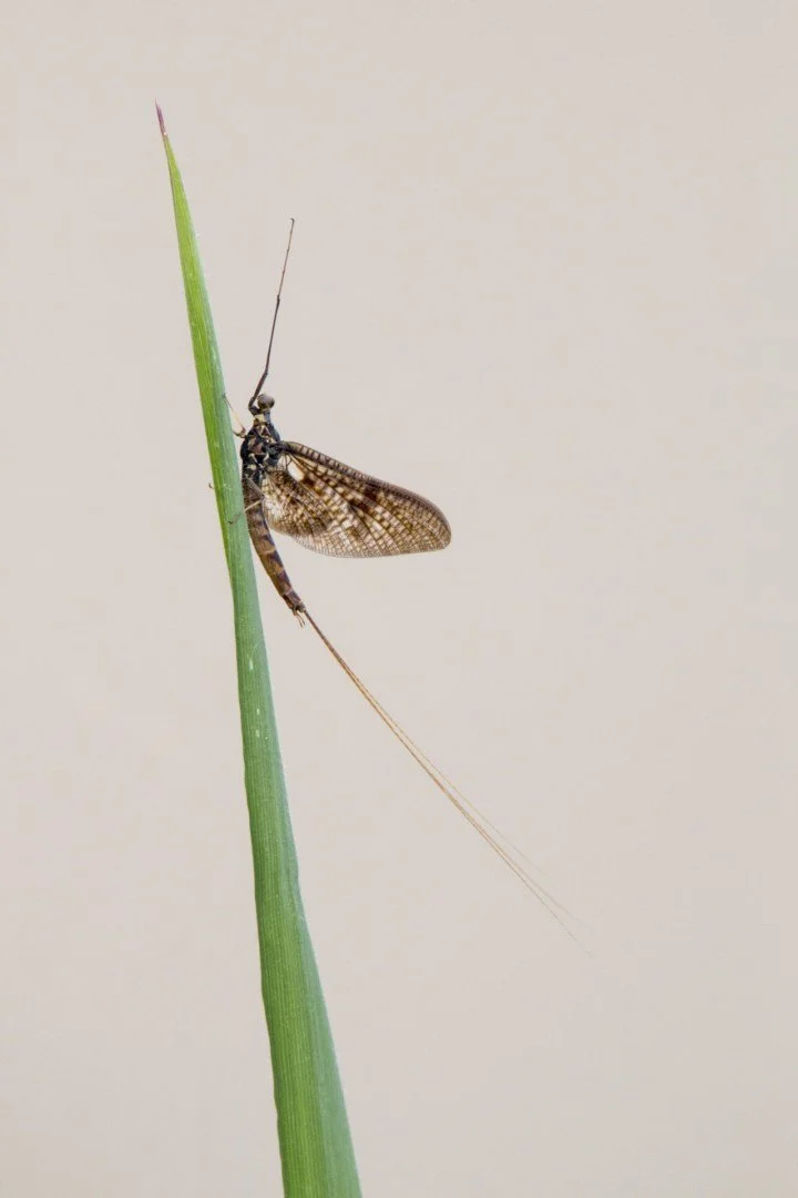 PD-05-2022-2.jpg