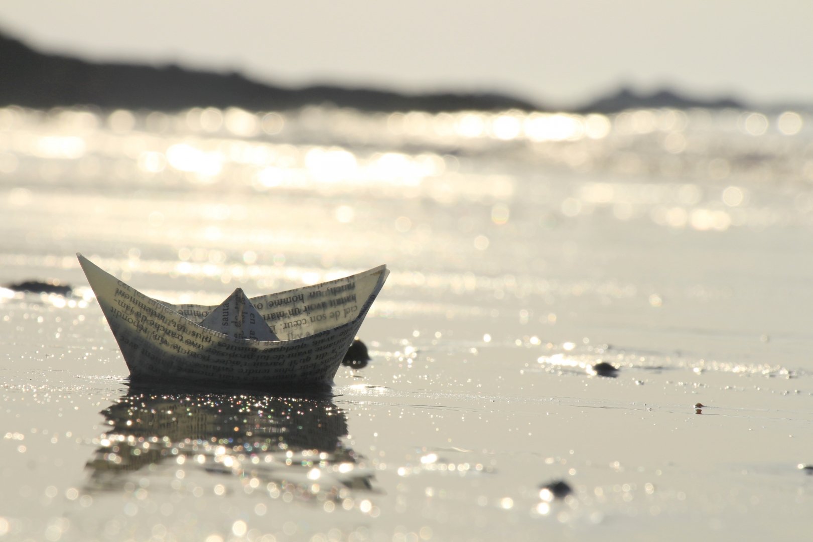 Echoué-seul-sur-la-plage.JPG