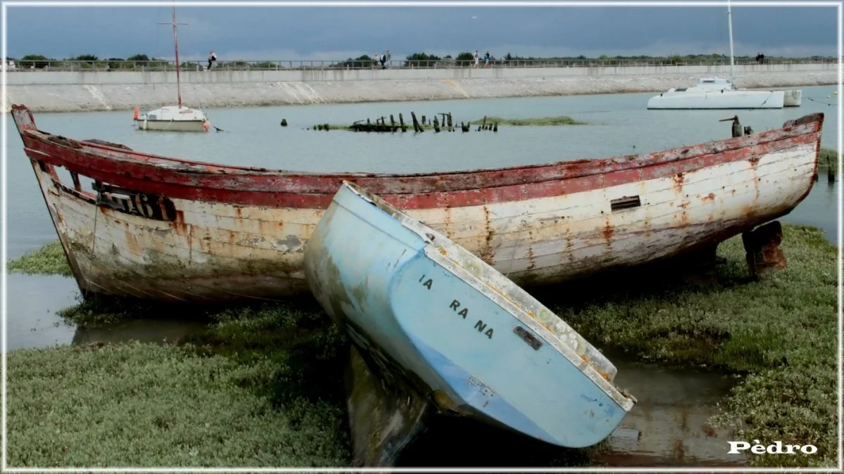 1-bateau.jpg