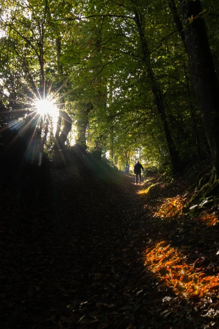 Étoile-En-Sous-Bois.jpg