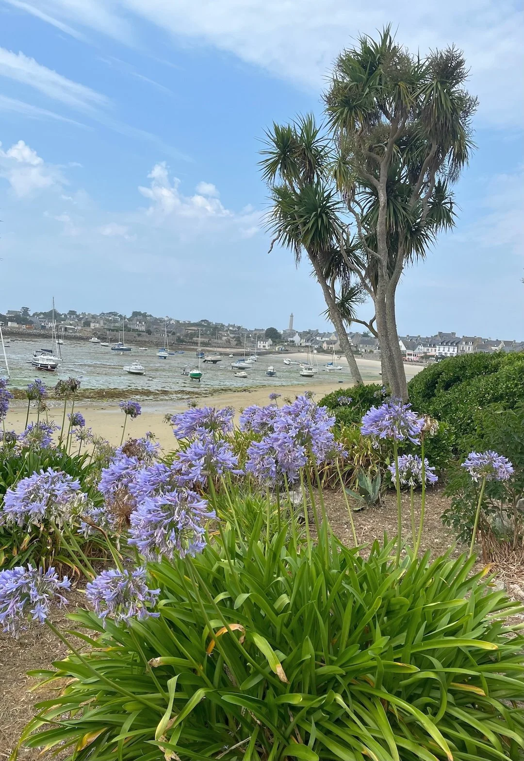Port de l'Ile-de-Batz.jpeg